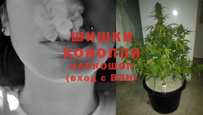 как найти закладки  кракен tor  МАРИХУАНА Ganja  Комсомольск 